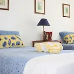 Golden Halcyon - Vila