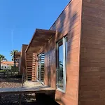 Golden Halcyon - Ericeira