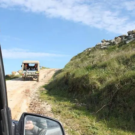 Golden Halcyon - 别墅 *