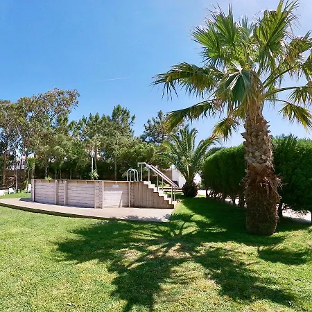 Golden Halcyon - Ericeira